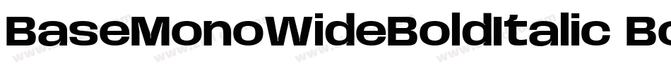 BaseMonoWideBoldItalic Bold Italic字体转换